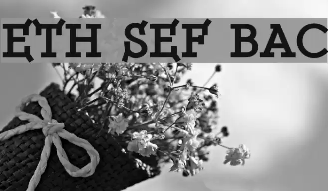 ETH Serif Black Font examples