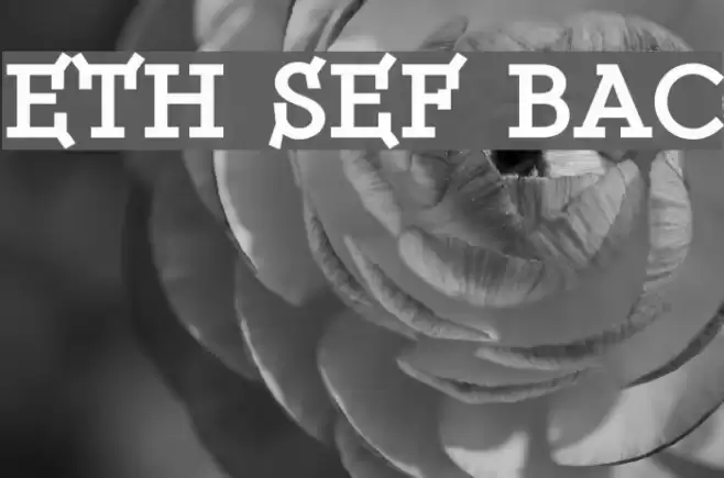 ETH Serif Black Font examples