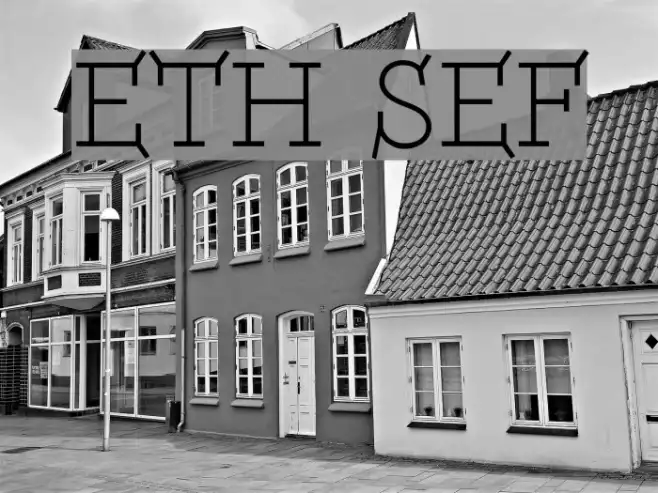ETH Serif Example 1