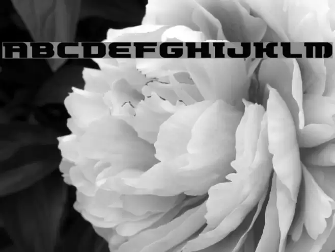 ETRocketype Font examples