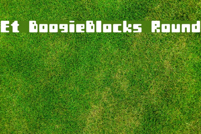 Et BoogieBlocks Round Font examples
