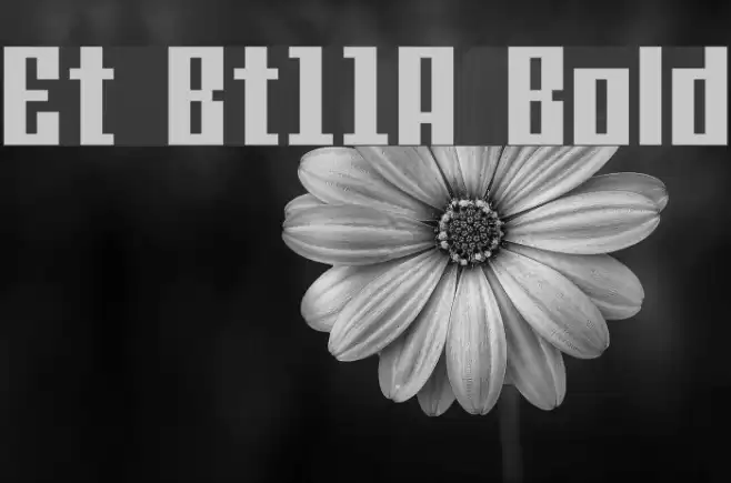Et Bt11A Bold Font examples