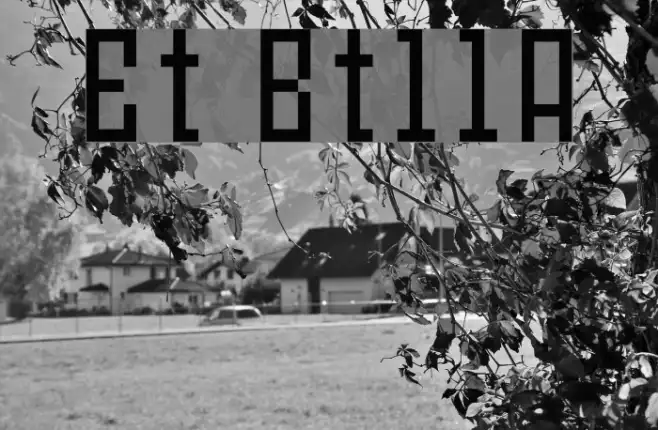 Et Bt11A Example 2