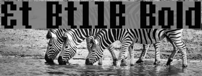 Et Bt11B Bold Font examples