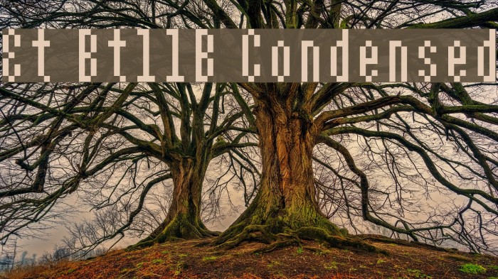 Et Bt11B Condensed Font examples
