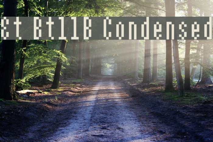 Et Bt11B Condensed Font examples