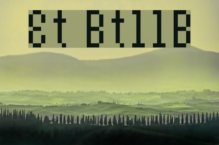 Et Bt11B Font examples