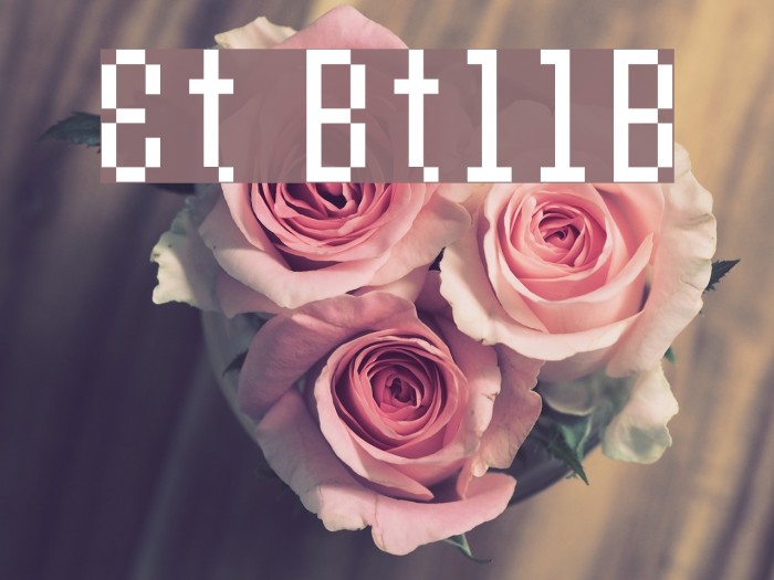 Et Bt11B Font examples