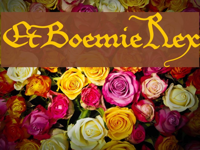 EtBoemieRex Font examples