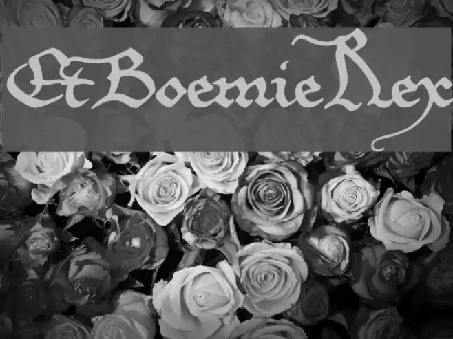 EtBoemieRex Example 2