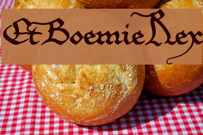 EtBoemieRex Font examples
