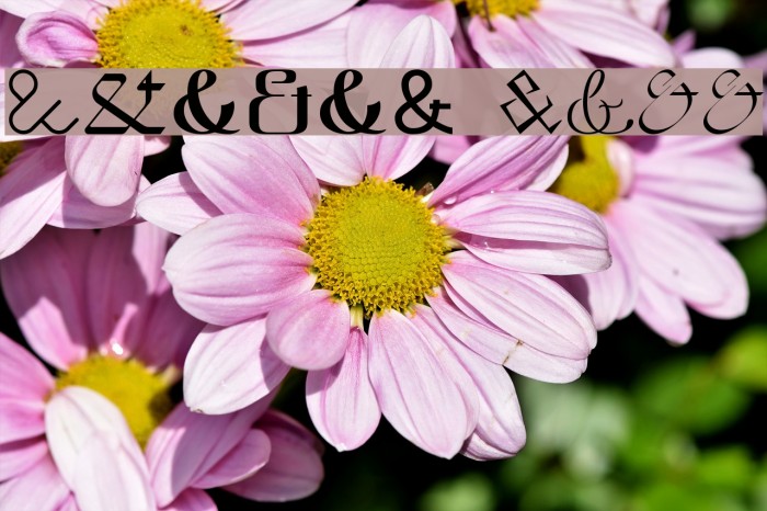 Etaday free Example 2