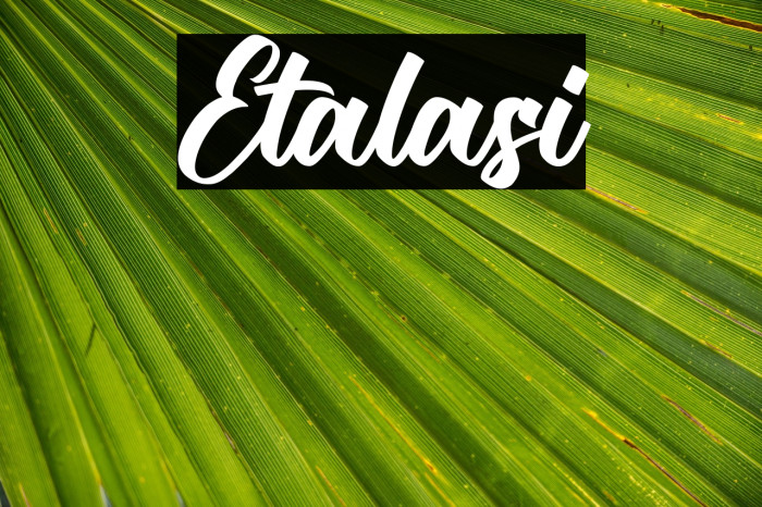 Etalasi Example 1