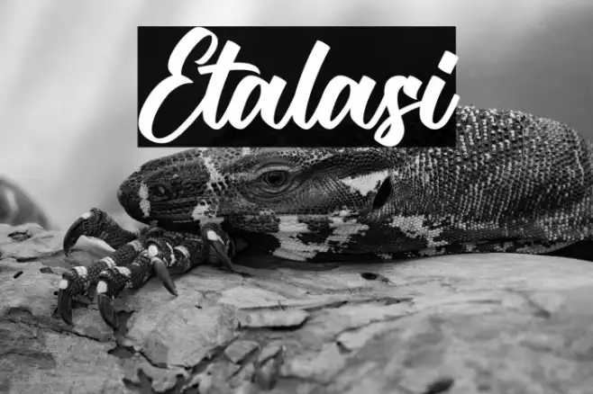 Etalasi Example 2