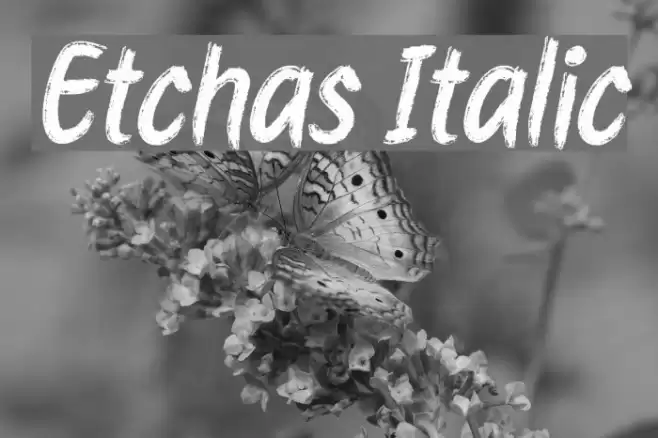 Etchas Italic Font examples