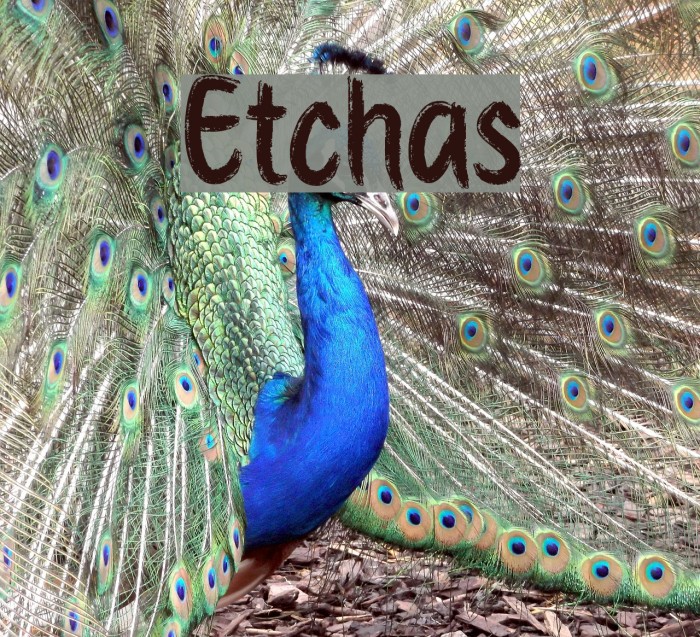 Etchas フォント examples
