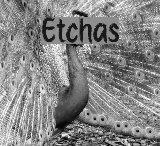 Etchas Шрифта examples