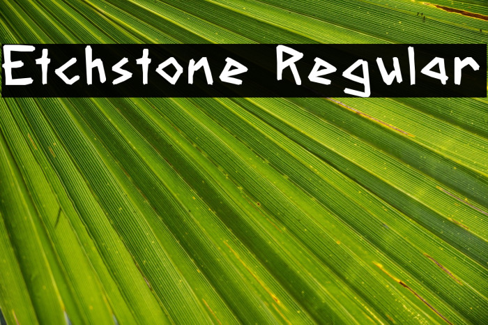 Etchstone Regular Example 2