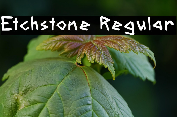 Etchstone Regular Example 3