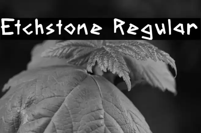 Etchstone Regular Example 3