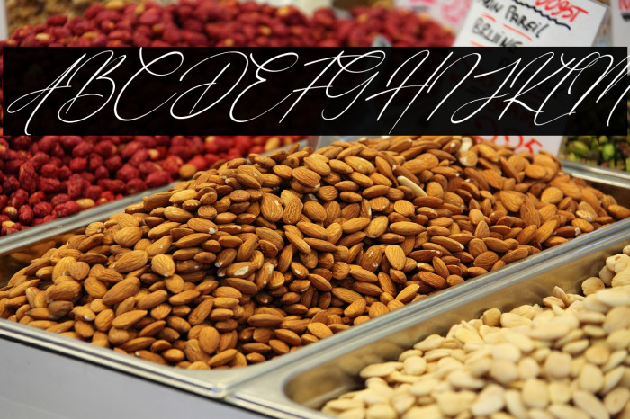 Eternal Amsterdam Italic Example 1