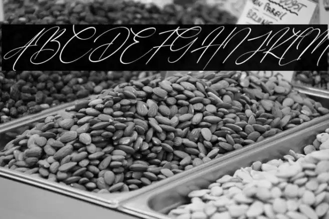 Eternal Amsterdam Italic Font examples