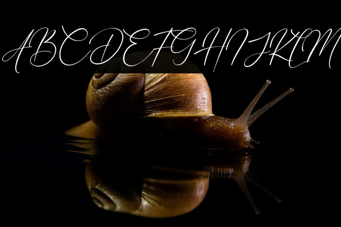 Eternal Amsterdam Example 3