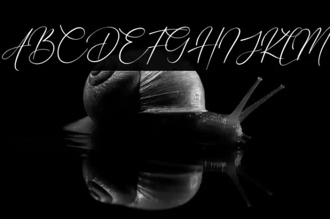 Eternal Amsterdam Font examples