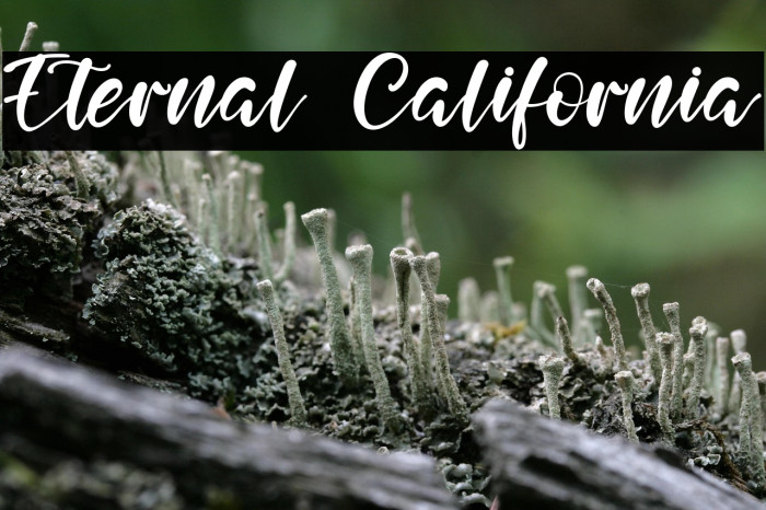 Eternal California Example 3