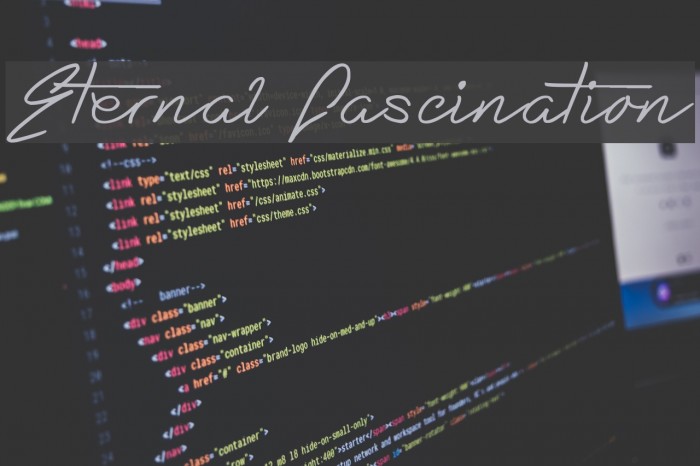 Eternal Fascination Font examples