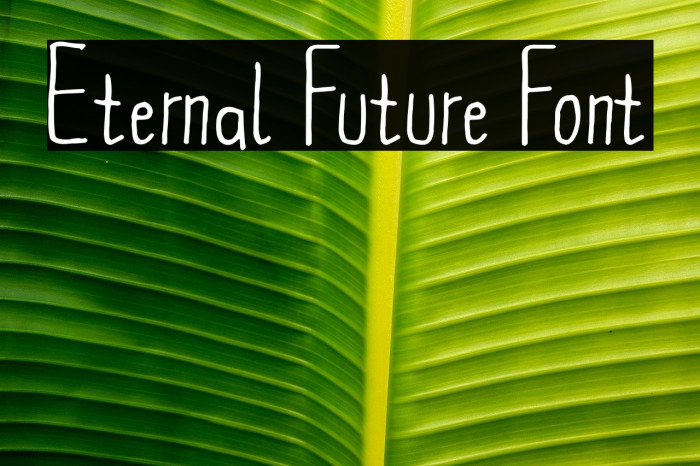 Eternal Future Font Example 2