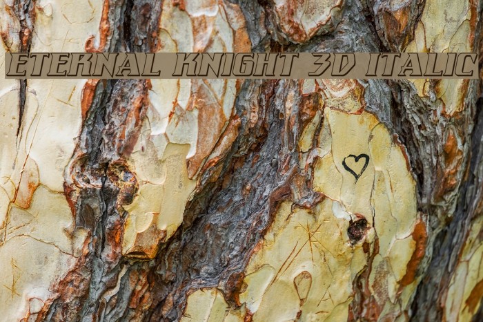 Eternal Knight 3D Italic Example 1
