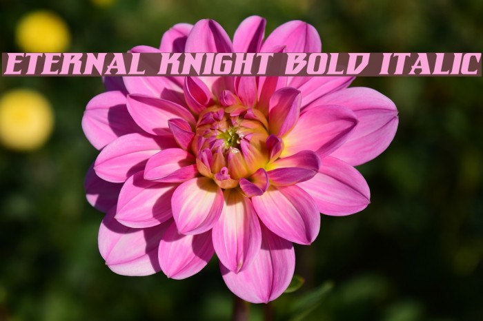 Eternal Knight Bold Italic Font examples