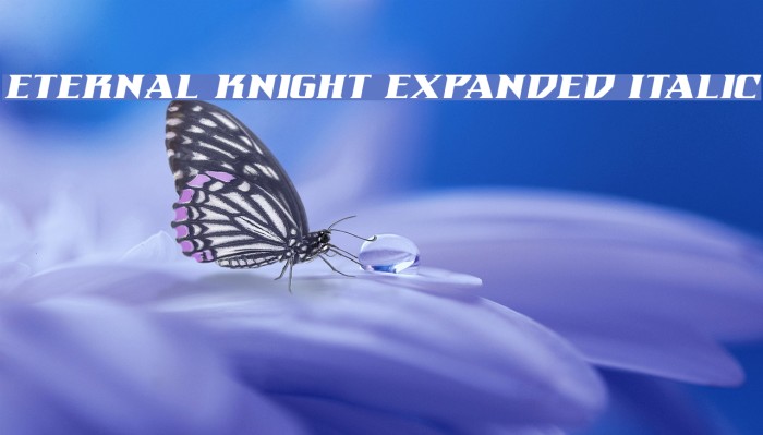 Eternal Knight Expanded Italic Font examples