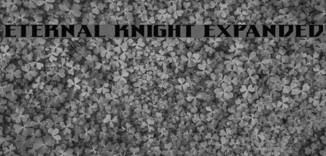 Eternal Knight Expanded Polices examples