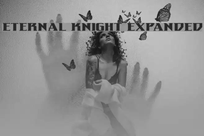 Eternal Knight Expanded Polices examples