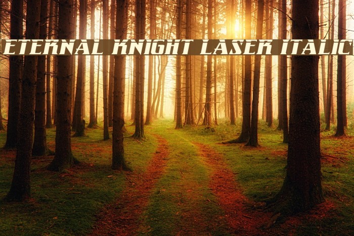 Eternal Knight Laser Italic Font examples
