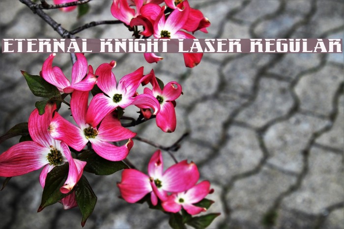 Eternal Knight Laser Regular Font examples