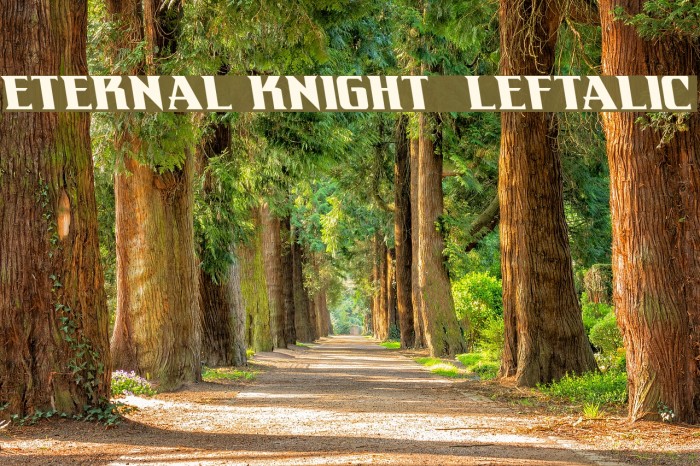 Eternal Knight Leftalic Font examples