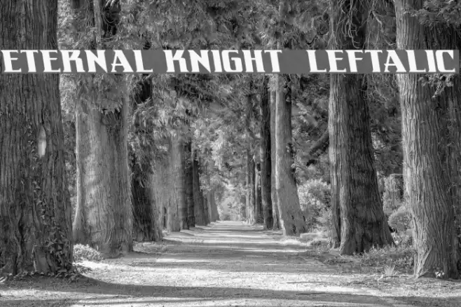 Eternal Knight Leftalic フォント examples