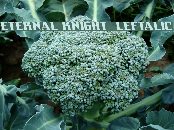 Eternal Knight Leftalic Font examples