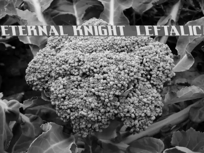 Eternal Knight Leftalic フォント examples