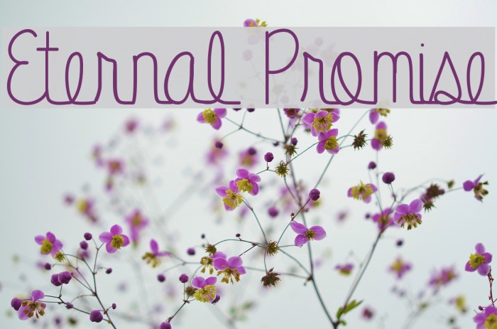 Eternal Promise Font examples