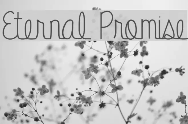 Eternal Promise Example 1