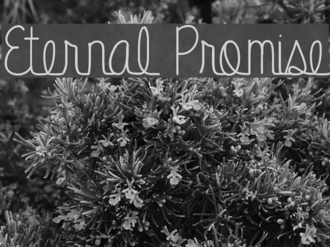 Eternal Promise Example 2