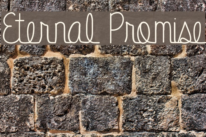 Eternal Promise Font examples