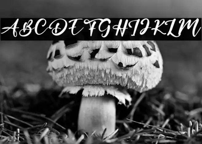 EternalCalifornia Example 3