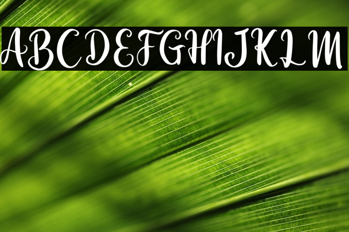 EternalLights-Script Example 1