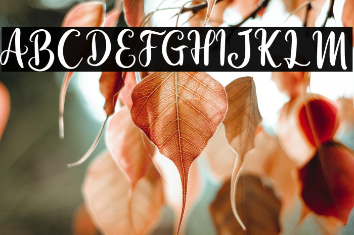 EternalLights-Script Example 3