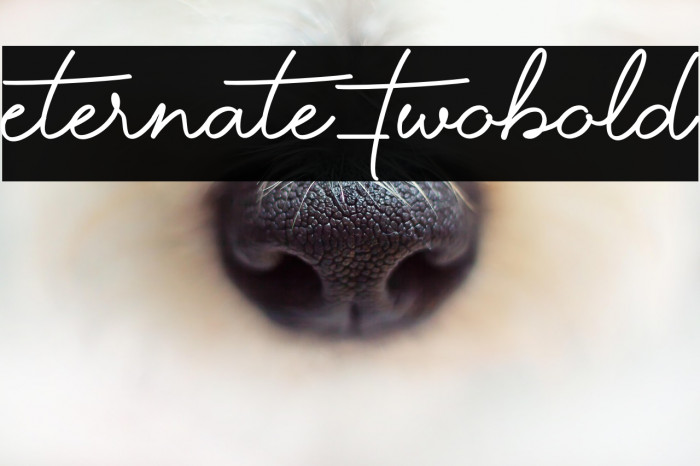 Eternate-TwoBold Example 2